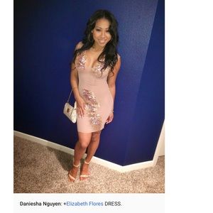 Elizabeth Flores, Blush colored Mesh dress.